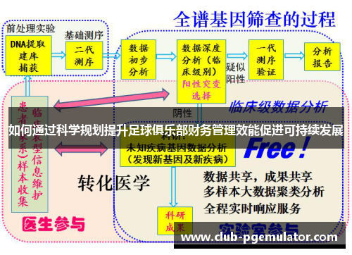 如何通过科学规划提升足球俱乐部财务管理效能促进可持续发展