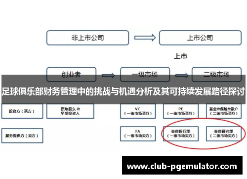 足球俱乐部财务管理中的挑战与机遇分析及其可持续发展路径探讨