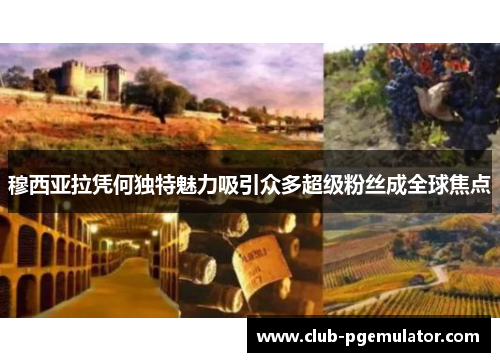 穆西亚拉凭何独特魅力吸引众多超级粉丝成全球焦点