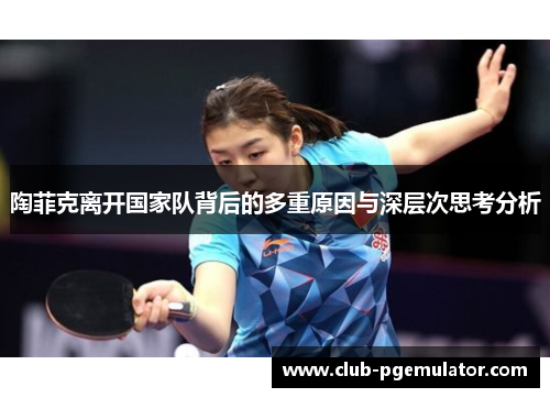 陶菲克离开国家队背后的多重原因与深层次思考分析