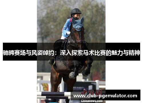 驰骋赛场与风姿绰约：深入探索马术比赛的魅力与精神